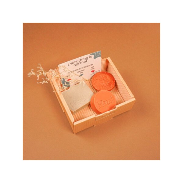 GIFT SET ''EVERYTHING IS NORMAL''