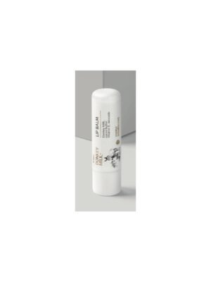 LIP BALM BIOSANTO SPF15 LIP BALM DEEPLY NOURISHING SPF15